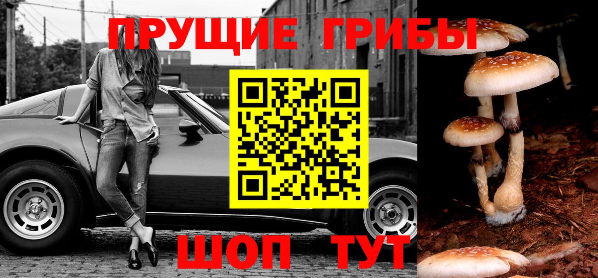 Псилоцибиновые грибы MAGIC MUSHROOMS  Вход с VPN  Фрязино 